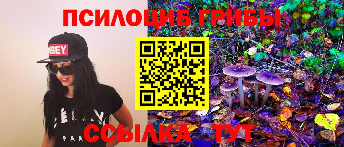 Псилоцибиновые грибы Psilocybine cubensis Глазов