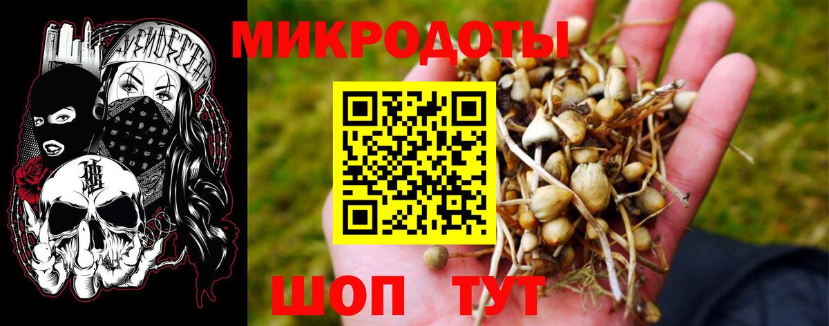 Глазов  Псилоцибиновые грибы MAGIC MUSHROOMS  Вход с VPN 